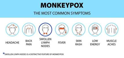 Infografía de los iconos de los síntomas del virus de la viruela del mono. dolor de cabeza, dolor de espalda, ganglios linfáticos inflamados, fiebre, erupción cutánea, etc. nuevos casos de brotes en europa y estados unidos. vector