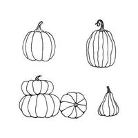 Hand drawn black and white set of pumpkins. Cartoon outline of vegetables in doodle style. Symbol of autumn harvest and Halloween. vector