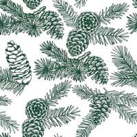 seamless christmas pattern. vintage drawing in sketch style. spruce branches and cones. Christmas tree. vector