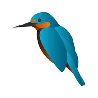 gradient kingfisher bird vector illustration