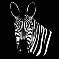 zebra head illustration with black isolated background vector
