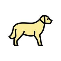 golden retriever perro color icono vector ilustración
