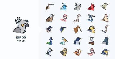 Variety of Birds linear coloured icon set vector