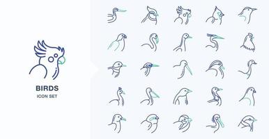 Variety of Birds outline coloured icon set vector
