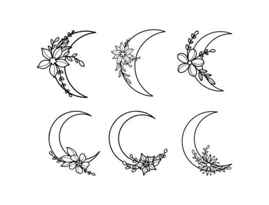 Illustrations Hand-drawn Moon with Flower Collection