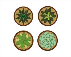 Potted Plant Succulent Top View Vector Collection