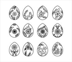 Collection of Easter Egg with Floral Element vector