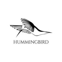 black and white hummingbird vector illustration 03