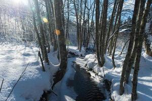 winter creek ice photo