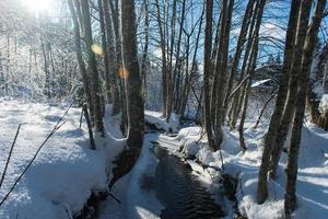 hielo del arroyo de invierno foto