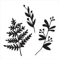 vector drawing in the style of doodle. herbs. simple black and white drawing of grass silhouette. fern, berries. isolated on white background.