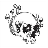 vector drawing skull and poisonous mushrooms. graphic drawing in sketch style. halloween theme, witchcraft, gothic