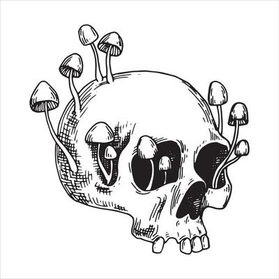 https://static.vecteezy.com/system/resources/thumbnails/010/402/592/small_2x/drawing-skull-and-poisonous-mushrooms-graphic-drawing-in-sketch-style-halloween-theme-witchcraft-gothic-vector.jpg