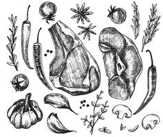 vector drawing in the style of graphics, engraving. vintage set of products meat beef, pork, spices. rosemary, garlic, pepper. black and white graphics