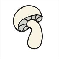 vector illustration in doodle style, cartoon. mushroom. champignon mushroom simple icon. food clip art