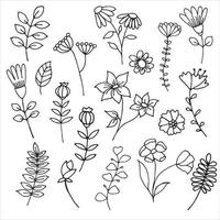 dibujo vectorial en estilo garabato, lindas flores y plantas, hojas y ramitas dibujadas a mano. dibujo lineal minimalista y simple. ilustraciones botánicas