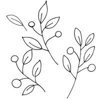 simple doodle style drawing. stylized plant with berries. badge of spring, flowering, forest plants. drawing one line set vector