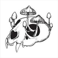 cráneo de dibujo vectorial y hongos venenosos. dibujo gráfico en estilo boceto. tema de halloween, brujería, gótico vector