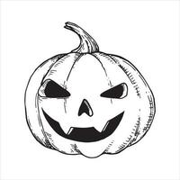 dibujo vectorial en blanco y negro en estilo antiguo. calabaza para halloween. aislado sobre fondo blanco calabaza. elemento de halloween, brujería, magia. dibujo gráfico en estilo retro vector