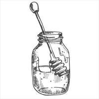 vector drawing in vintage style. honey. jar with honey, honeycombs. eco friendly product, food. graphic drawing engraving