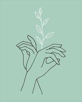 Stylized graceful female hands and plant. Boho modern aesthetic background with feminine hand gestures. Modern minimalist art print, body care symbol, eco-friendly cosmetics. vector