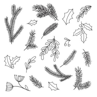 vector drawing in the style of doodle. branches of firs, fir-trees, leaves and berries of mistletoe, holly. simple abstract branches for christmas, new year decoration