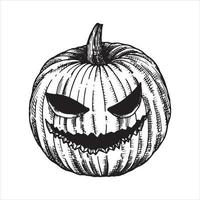 dibujo vectorial en blanco y negro en estilo antiguo. calabaza para halloween. aislado sobre fondo blanco calabaza. elemento de halloween, brujería, magia. dibujo gráfico en estilo retro vector