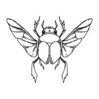 vector black and white drawing in vintage style, Scarab beetle magic symbol of Scarab beetle with spread wings. mystical beetle, esotericism, magic. tattoo sketch