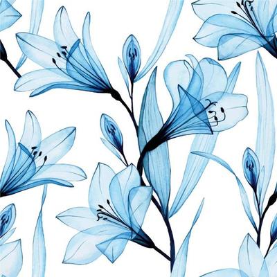 watercolor seamless pattern with transparent blue flowers of alstroemeria, lily. air flowers, x-ray on a white background.