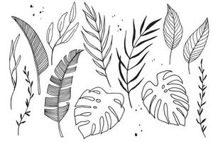 linear vector set with tropical leaves. ink drawing collection of eucalyptus, palm, monstera, banana leaves. hand drawn