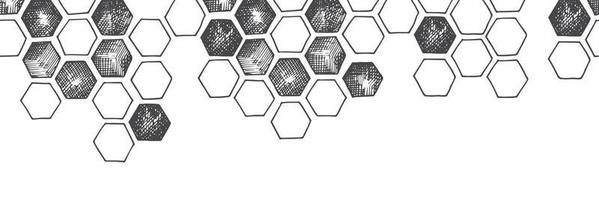 vector seamless border, pattern, banner with honeycombs. vintage print graphics