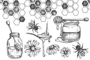 dibujo vectorial vintage sobre el tema de la miel, la apicultura. gráficos de ilustración en blanco y negro, boceto. miel, panales, abejas. vector