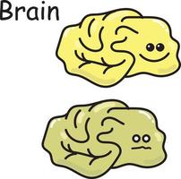 ilustración de stock ilustración vectorial de un órgano interno del cerebro. dibujo de dibujos animados para niños tema médico cerebro sano y enfermo. Cute imagen kawaii doodle estilo aislado en blanco vector