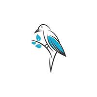 Bird logo design vector illustration