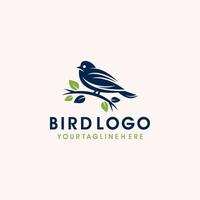 Bird logo design vector illustration