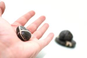 .zen stones in palm photo