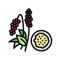 amaranth groat color icon vector illustration