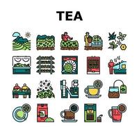 conjunto de iconos de colección de producción de bebidas de té vector