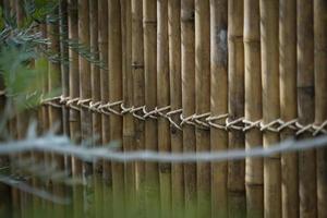 The bamboo fence with ropes is beautiful and perfect. photo