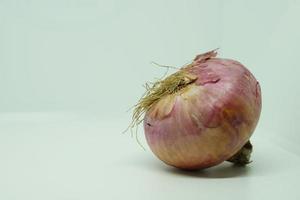 Fresh Raw Bulb Onions in whole isolated on a white background. photo