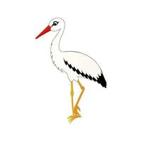 Crane bird isolated on white background in cartoon style, stork stands on one leg, design element, bird vector