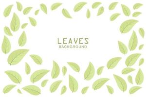 Beautiful green leaves on white background vector