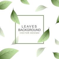 Green leaves background with copy space vector