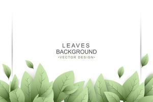 Green leaves background with copy space vector