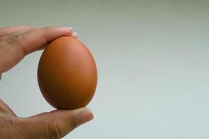 Hand holding a large hen's egg and its shadow shows the size and quality of the egg against a white background. photo