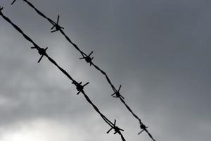 The barbed wire fence and the sky felt like it was blocked. photo