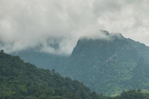 hermoso paisaje de montaña, bosque y niebla. foto