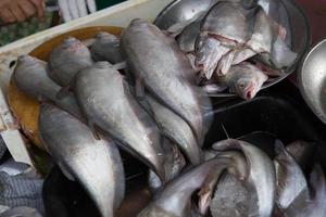 fresh seafood on the market in Thailand photo