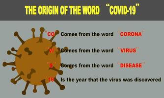 el origen de la palabra covid 19, anuncio de la organización mundial de la salud, el nombre oficial de la nueva especie de virus corona. vector