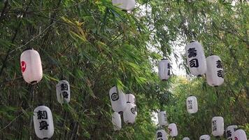 Japanese style lantern hanging on a bamboo tree is being blowning by the wind video